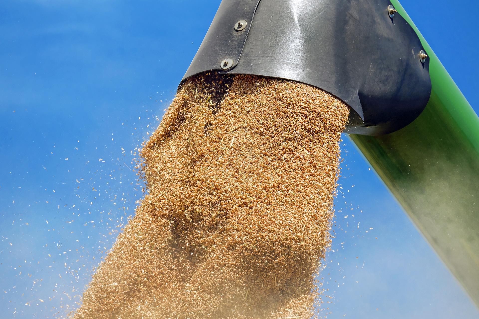 Кражба на 1500 кг пшеница е била извършена от склад