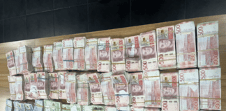 Шведски крони