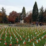 Знамена, Войнишкия лъв на НДК