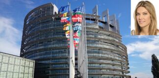 Ева Кайли и ЕП. Снимка: Колаж, Pixabay