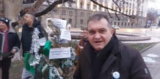 Георги Георгиев до елхата