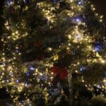 Коледно дърво