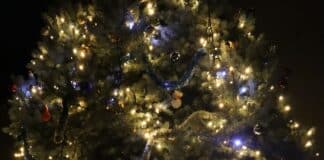 Коледно дърво