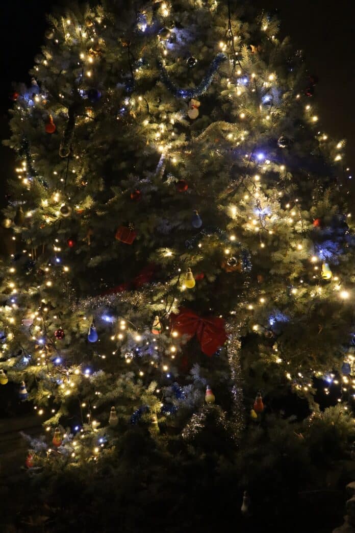 Коледно дърво