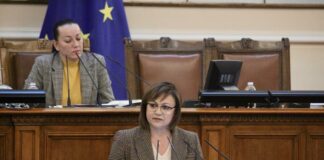 Корнелия Нинова