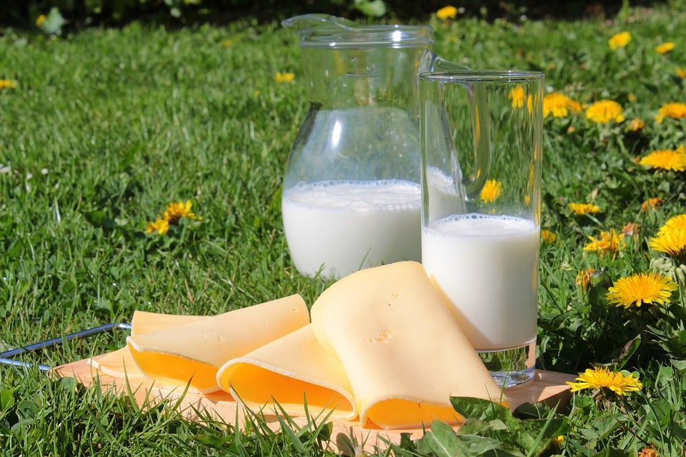 В последните години българският пазар на млечни продукти се сблъсква