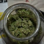 Наркотици, дрога