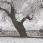 Украйна през зимата.