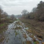 Река Ропотамо