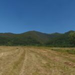 Руй планина