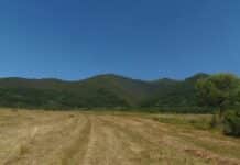 Руй планина