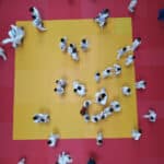 Топалов оупън