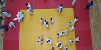 Топалов оупън