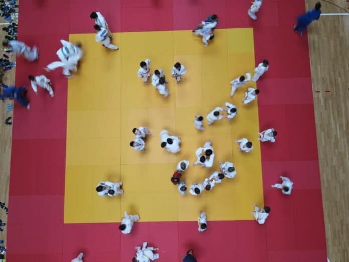 Топалов оупън