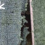 Вандалска проява