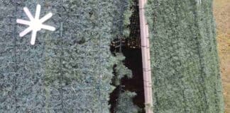 Вандалска проява