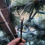 Вандалска проява