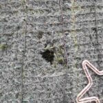 Вандалска проява