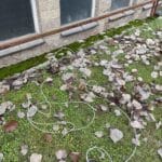 Вандалска проява