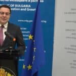 Александър Пулев