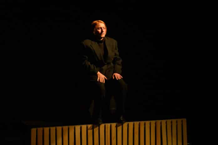 Дневникът на един луд