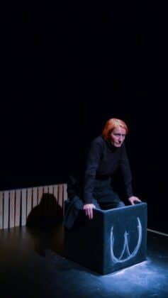 Дневникът на един луд