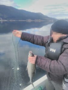 Акция на ИАРА