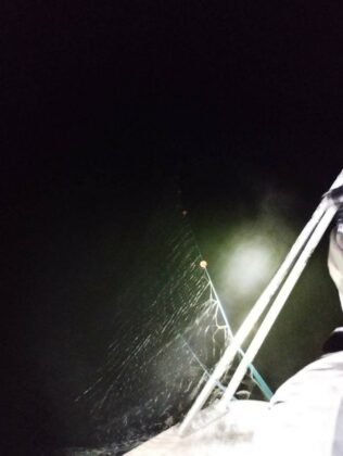 Акция на ИАРА