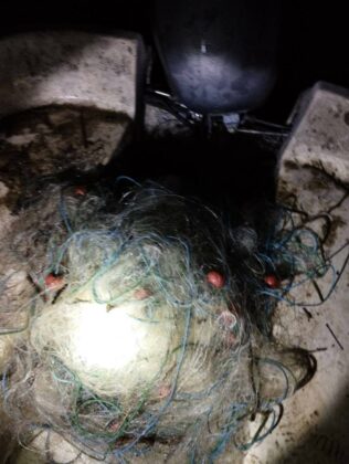 Акция на ИАРА