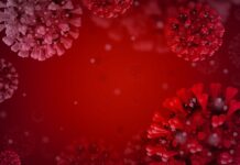 Коронавирус