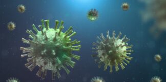 Коронавирус