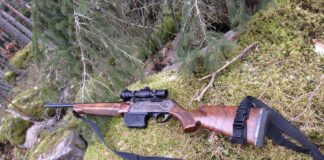 Лов, пушка, оръжие