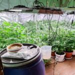 Нарколаборатория