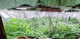 Нарколаборатория