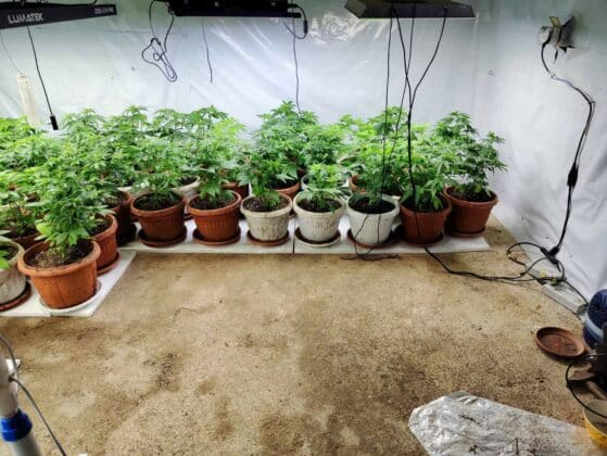 Нарколаборатория