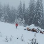 Планински спасител, търсещ жената