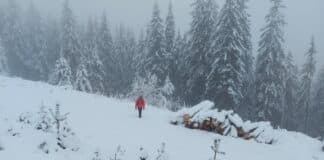 Планински спасител, търсещ жената