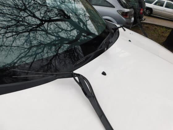 Потрошена чистачка