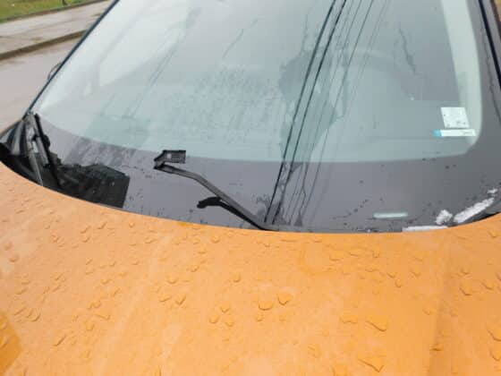 Потрошена чистачка