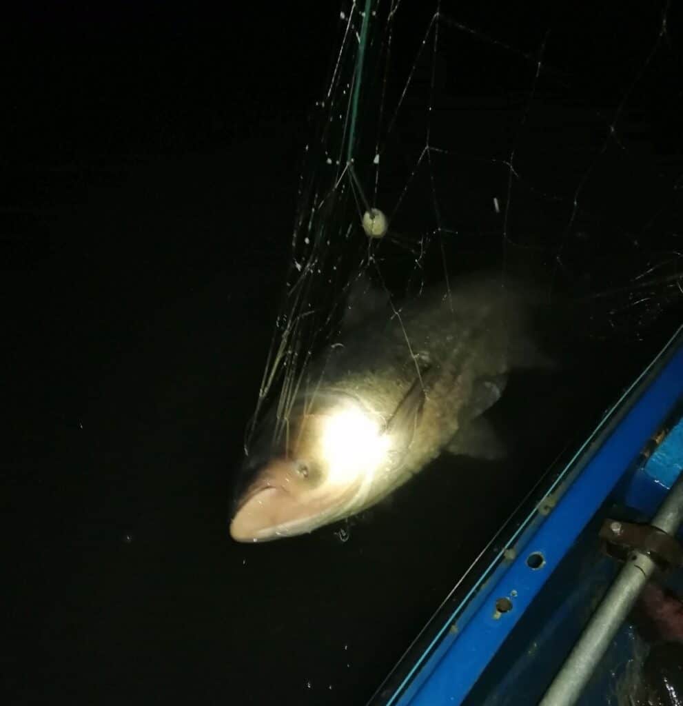 Проверка на "Порой"