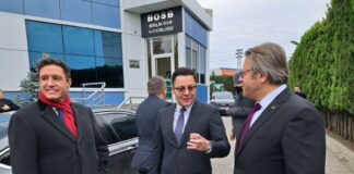 Александър Пулев