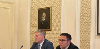 Александър Пулев