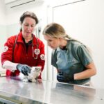 Ребека Луиз