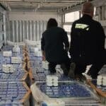 Заловени шампоани