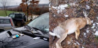 Бракониери