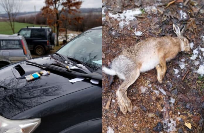 Бракониери