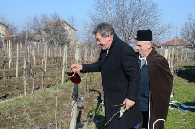 Чествания в Дунавци