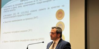 Георги Събев