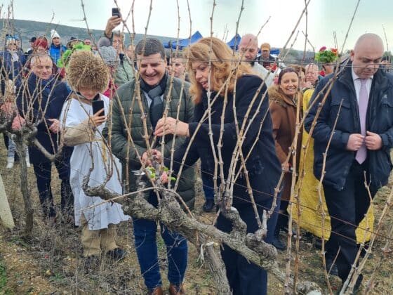 Илияна Йотова