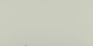 Лос Анджелис.